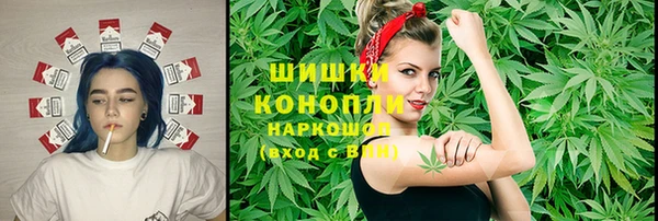 прущие крисы Бородино