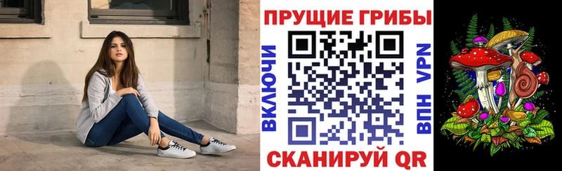 Псилоцибиновые грибы Psilocybine cubensis  Дмитровск 